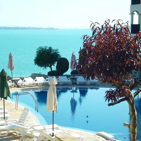 Sun Coast Apartment